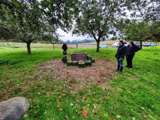 Lagerplatz mit Bäumen 3 Schüler:innen